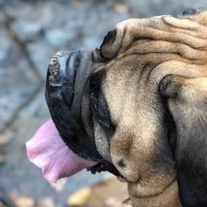 Meet your Posher, Beth